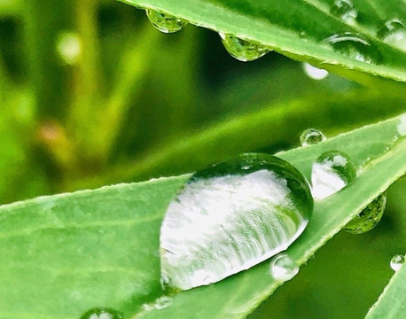 罗思尔霍夫酒店主图