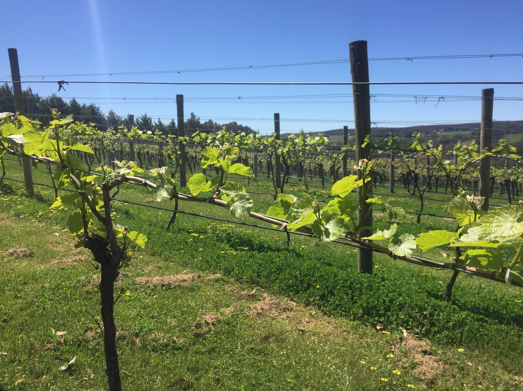 Glenlyon Estate-Glenlyon必去景点