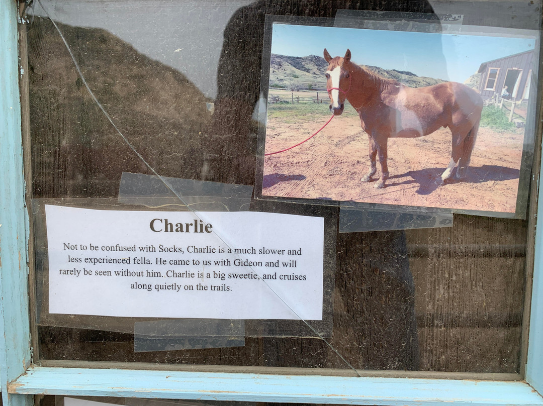 Medora Riding Stables-Medora必去景点