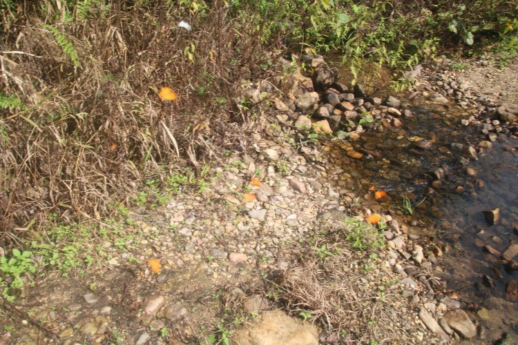 Chu Mom Ray National Park-昆嵩必去景点