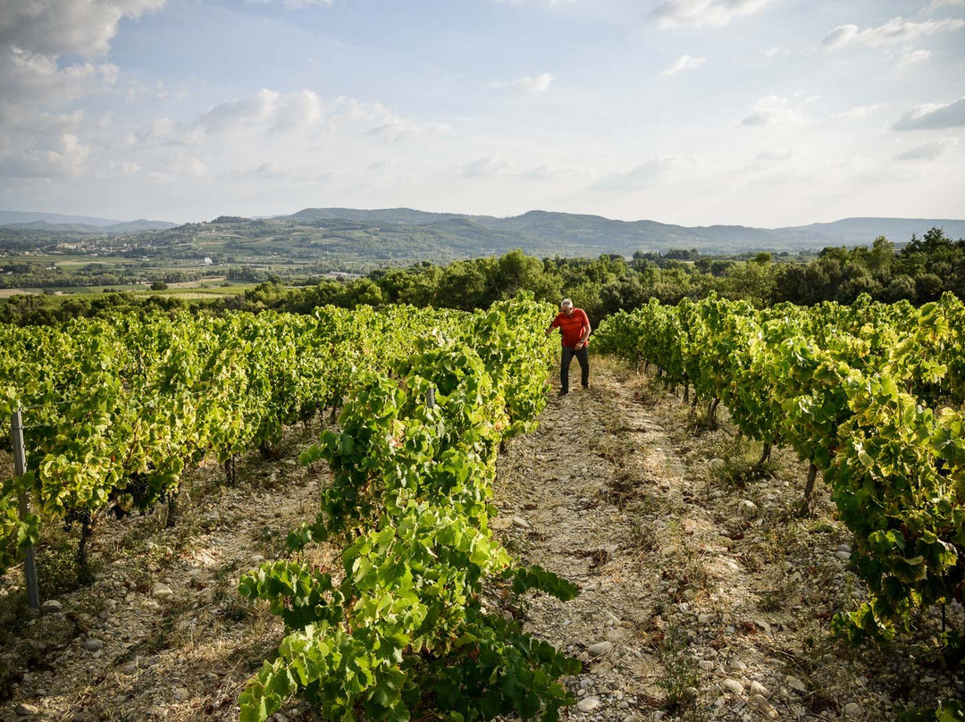 Domaine Saint Vincent-Vinsobres必去景点