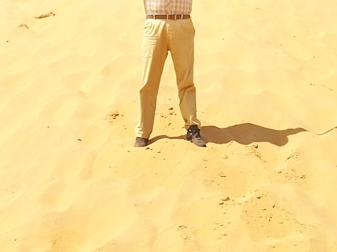 Bikaner Camel Safari景点图片