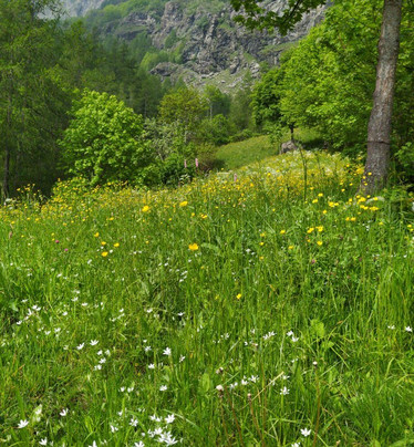 Tumpi Di Bobbio Pellice-Bobbio Pellice必去景点