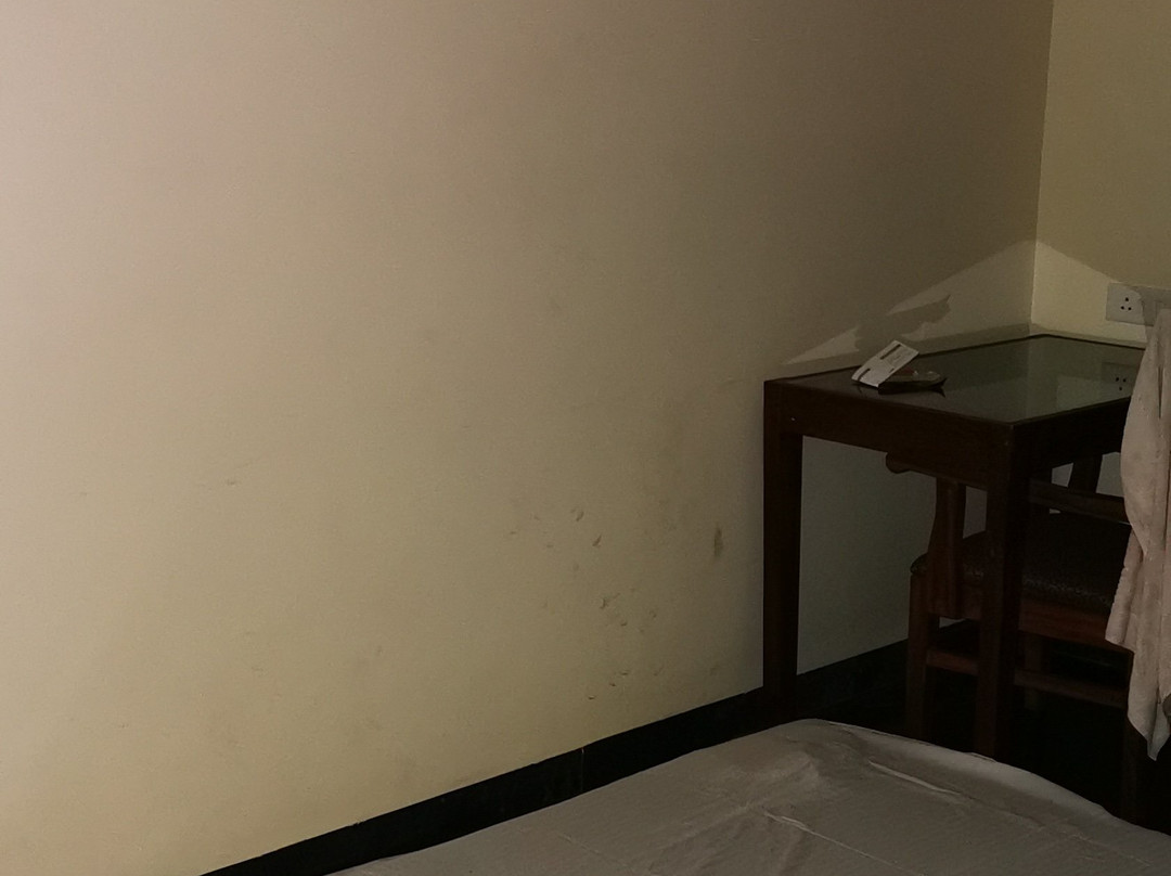 Capital O 12343 Aarya Boulevard主图