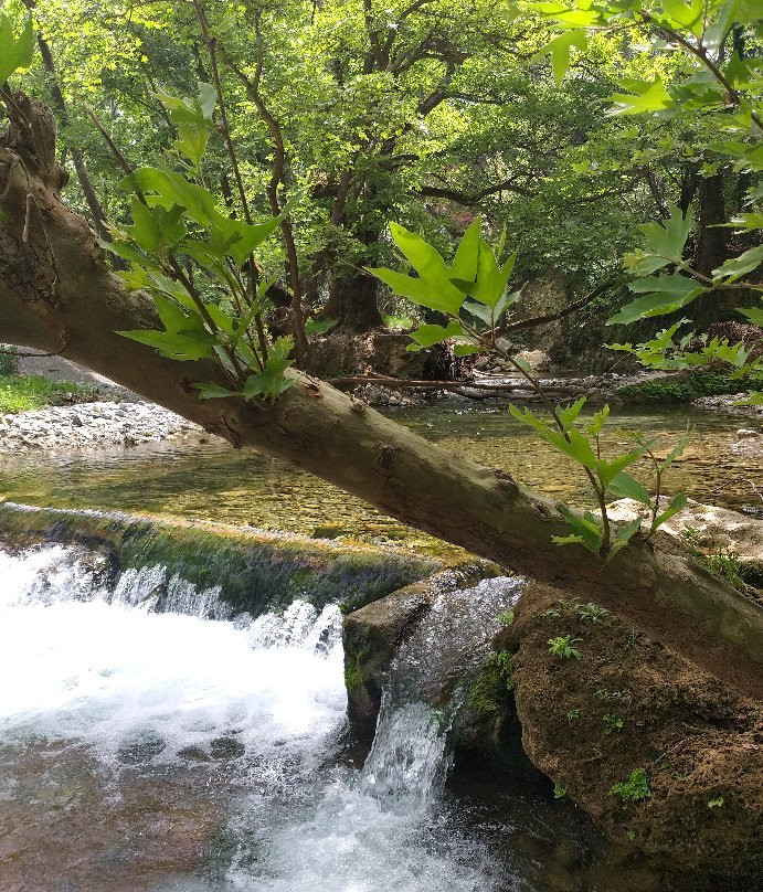 Katheni旅游攻略图片