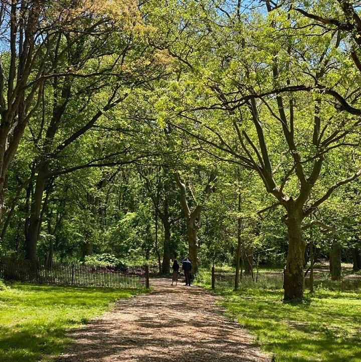 Alley Pond Park-Oakland Gardens必去景点