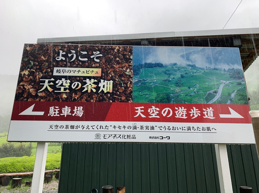 Gifu o Machu Picchu Tengu no Chabatake-揖斐川町必去景点