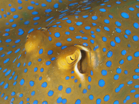 水上冒险乐园礁俱乐部酒店主图