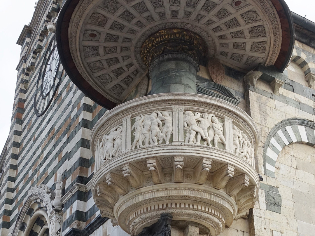 Duomo Di Prato景点图片