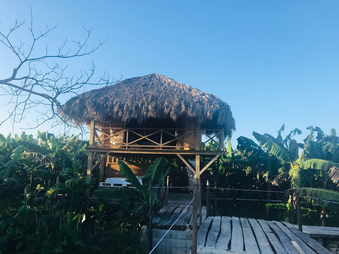 Samana Ecolodge主图