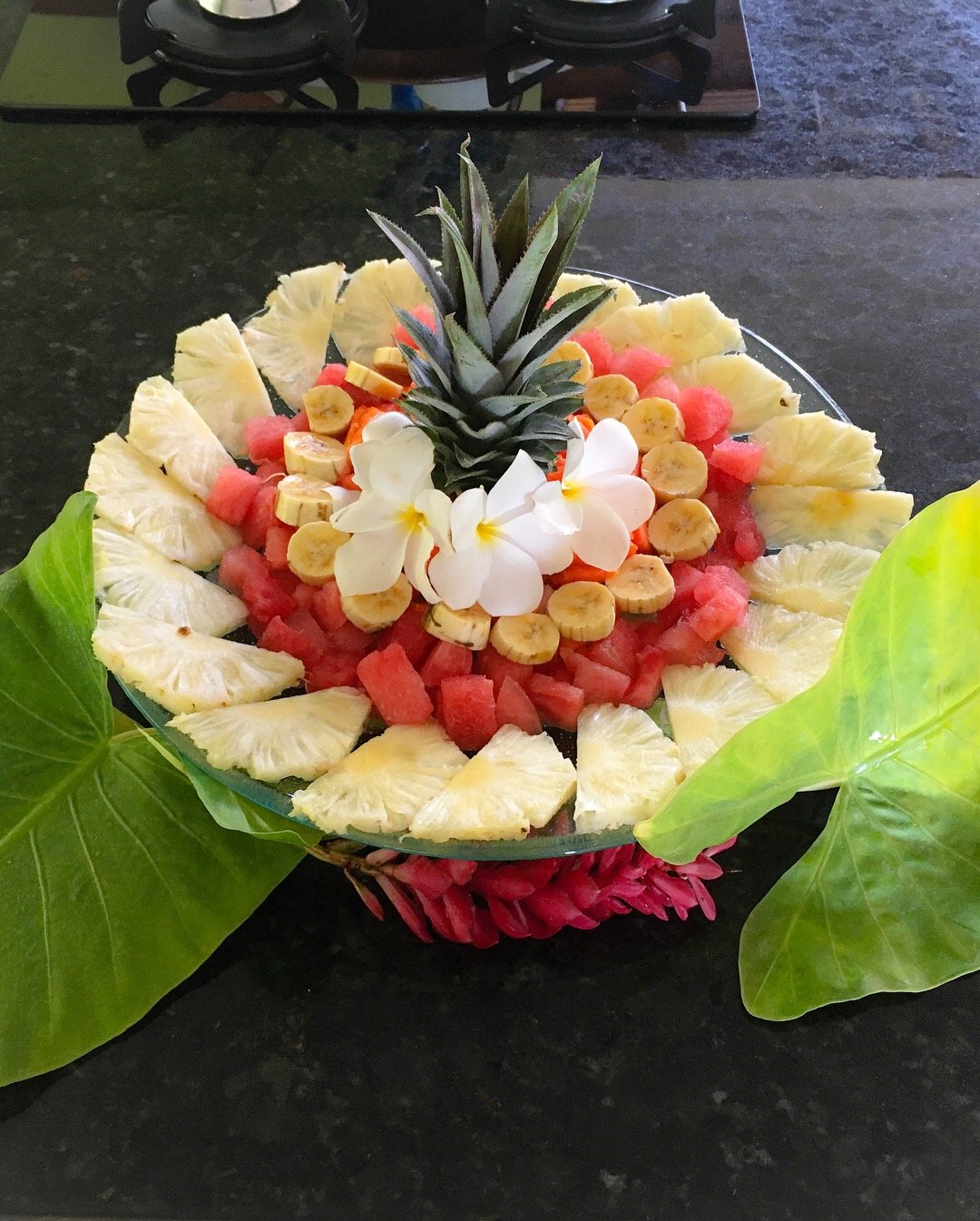 Carapitangui Pousada-portrait