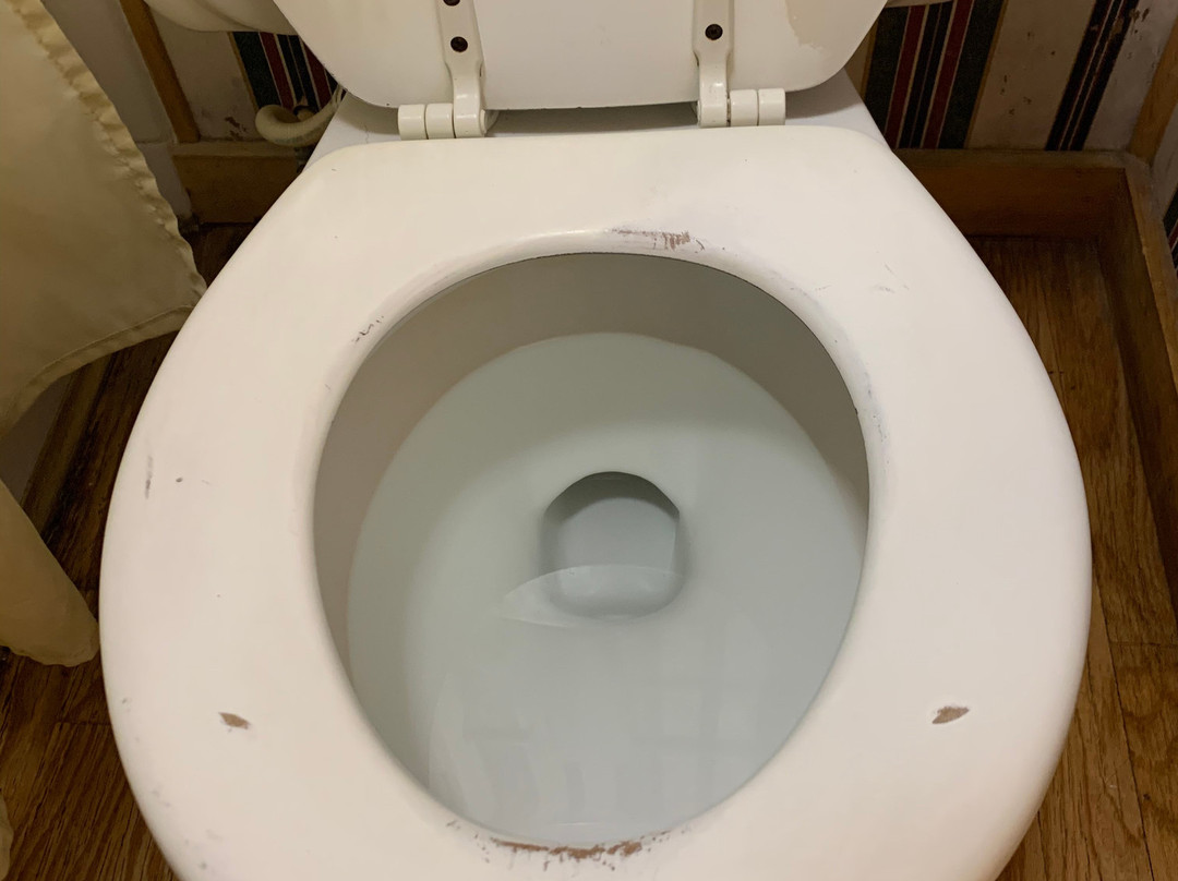 Fin & Feather Resort on Toledo Bend Lake主图