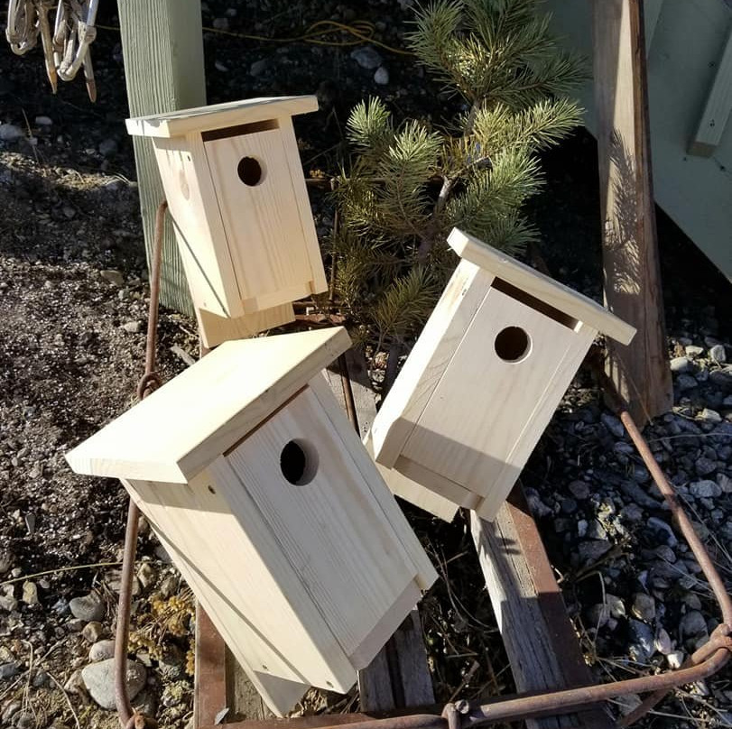 High Country Autumn's Nest-Fraser必去景点