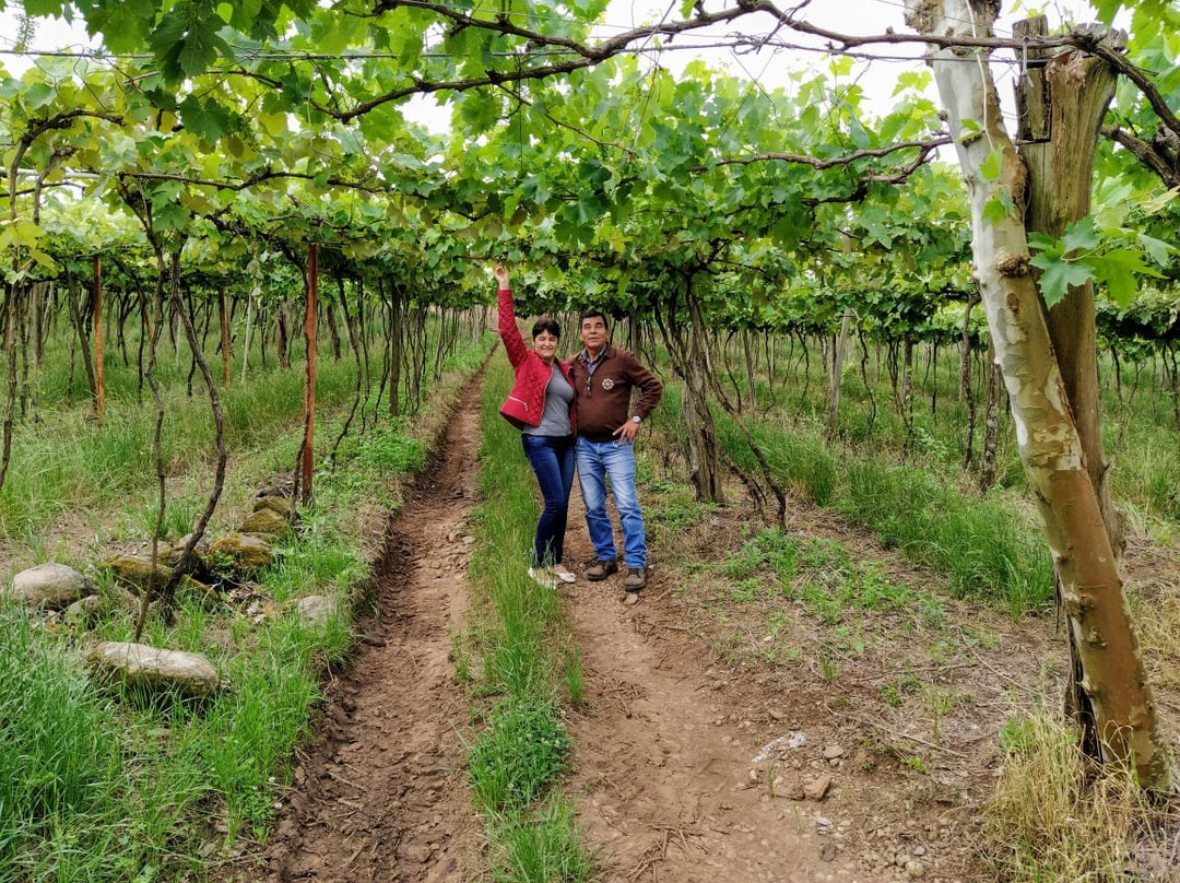Vinicola De Mari-Monte Belo do Sul必去景点