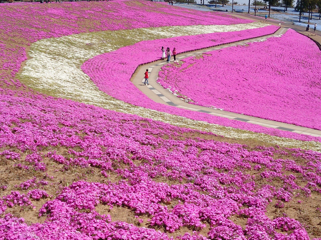 Ota City Hokubu Undo Park-太田市必去景点