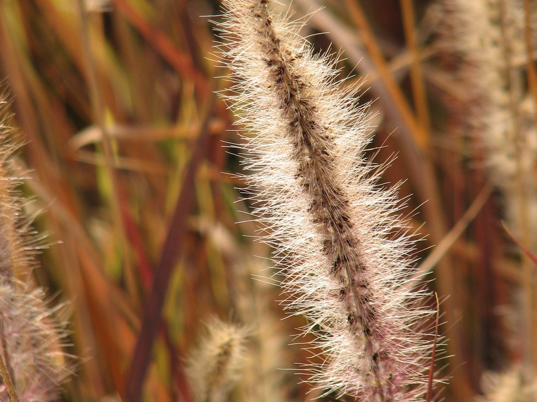 Eshkol Park-贝尔谢巴必去景点