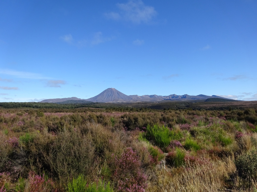 Mt Ruapehu景点图片
