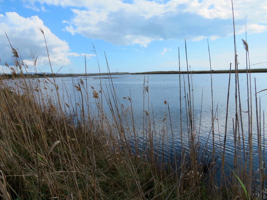 Saline di Tarquinia-塔尔奎尼亚必去景点