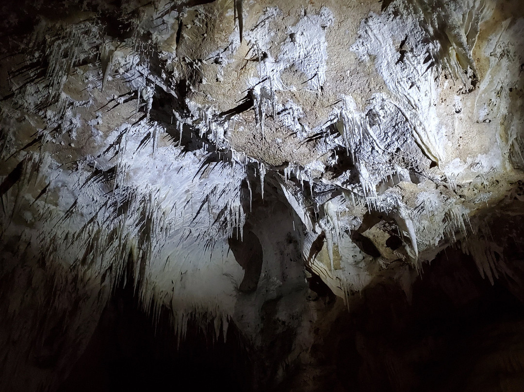 Left Hand Tunnel Tour-卡尔斯巴德洞穴国家公园必去景点