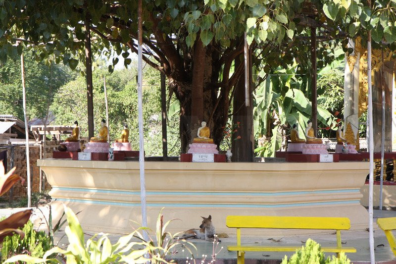 Mya Tha Lyaung Reclining Buddha-勃固必去景点