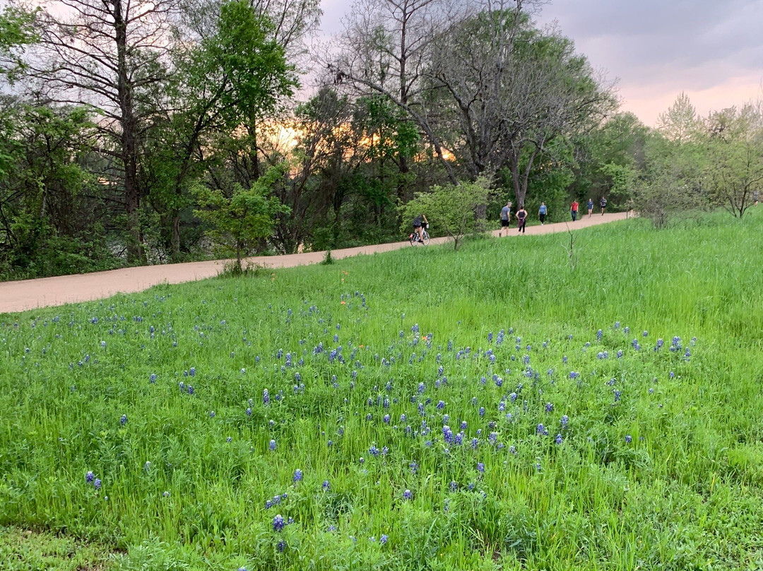 唐恩湖-奥斯丁必去景点