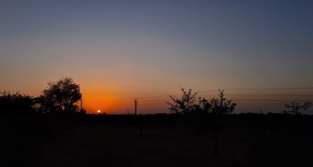 Jungle Retreat Ranthambore主图