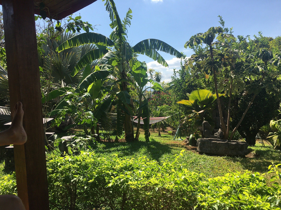 Vista Linda Montaña主图