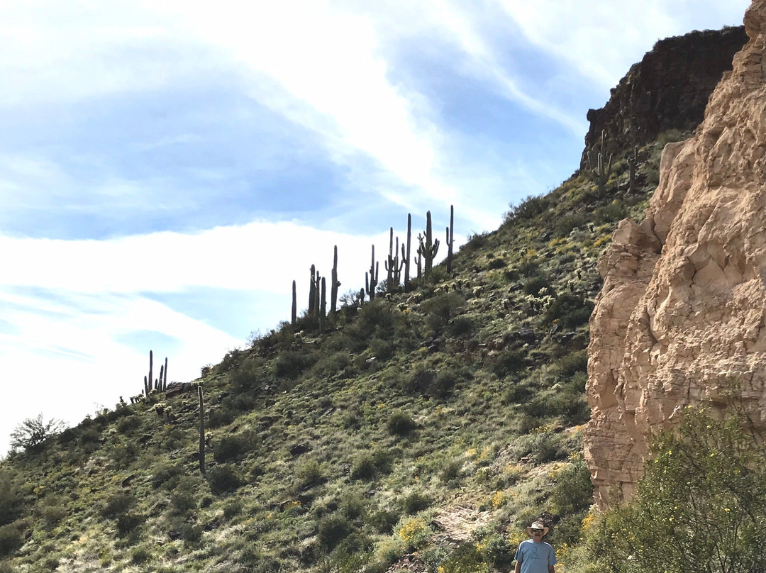 Brown's Ranch Trailhead-斯科茨代尔必去景点