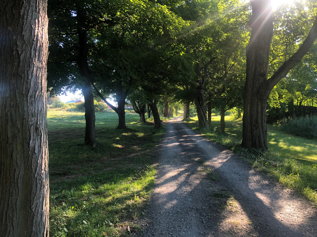 Rose Hill Farm-Red Hook必去景点