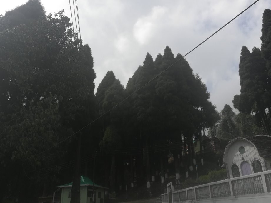 WBFDC LAVA Nature Resort主图