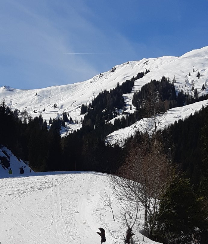 Skigebiet Großarltal-Dorfgastein-果斯萨尔必去景点