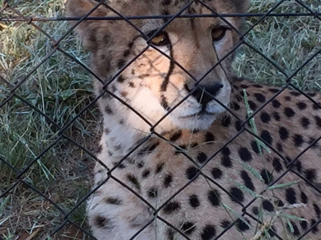 Pongoa Travel-南非西北必去景点