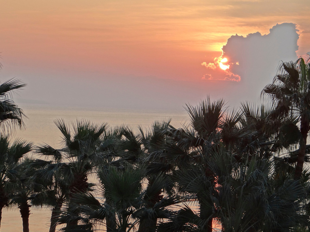 Palm Beach Hotel & Bungalows主图