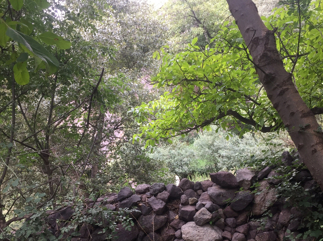 Atlas Mountain Excursions-Ait Azzi必去景点