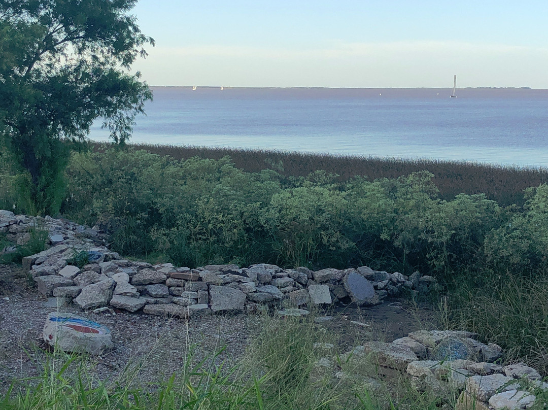 Aguila Grande Fuera del Tiempo Park-圣伊西德罗必去景点