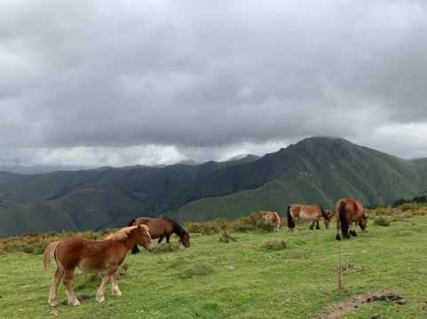 San Sebastian Trips-圣塞瓦斯蒂安必去景点