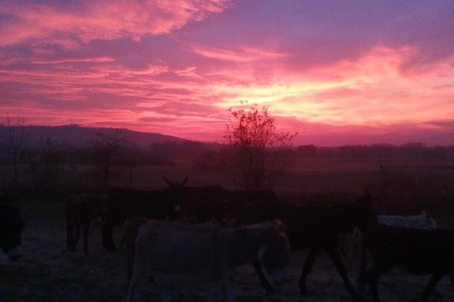 Azienda Agricola Il Melograno -Settimo Rottaro--Settimo Rottaro必去景点