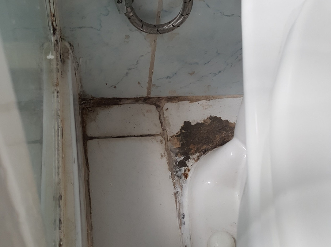 Hotel Puerto Mayor主图