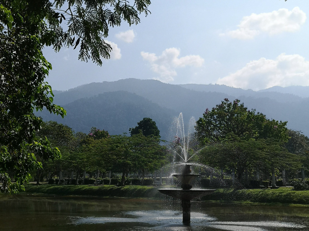 Taman Tasik Taiping景点图片