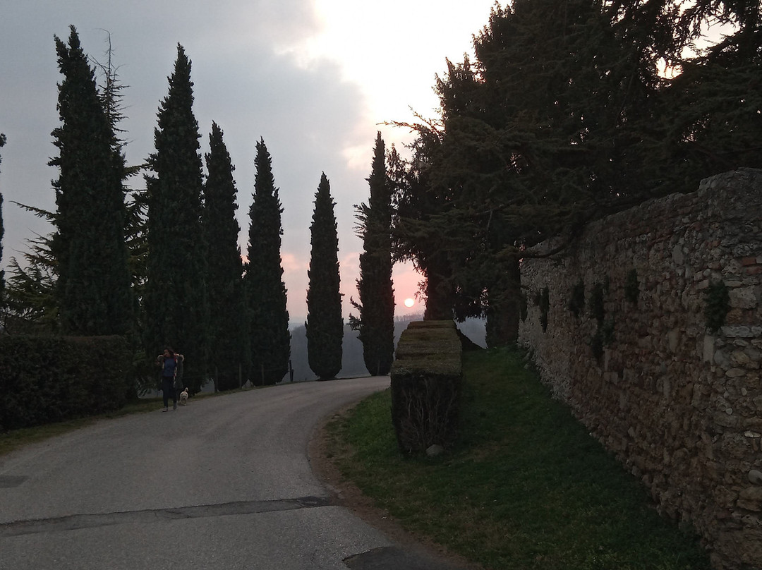 Art B&B 'La Casa del Pittore'主图