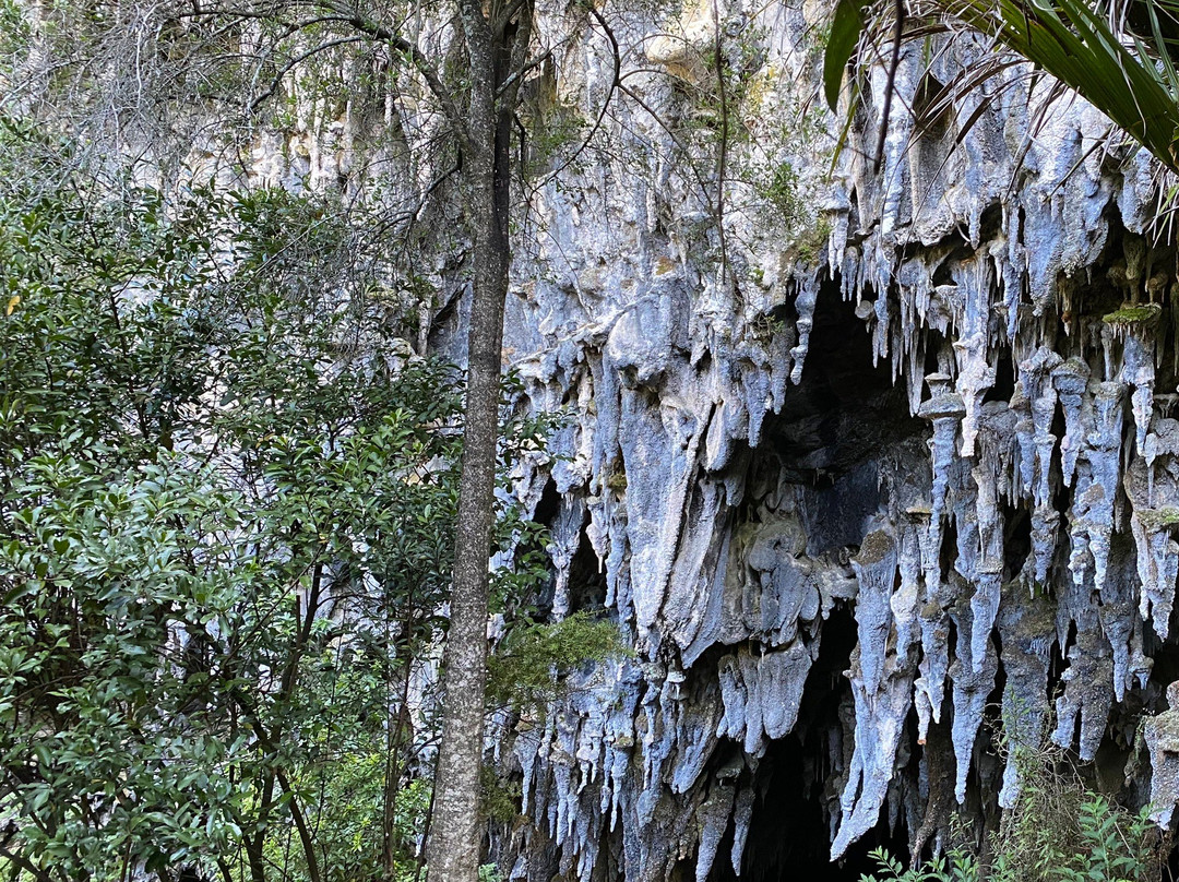 Rawhiti Cave Track景点图片