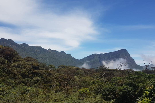 Chandi with Knuckles-康提必去景点