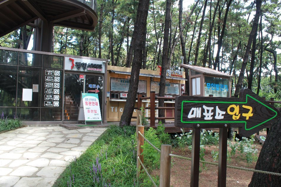 Janghang Skywalk-舒川郡必去景点