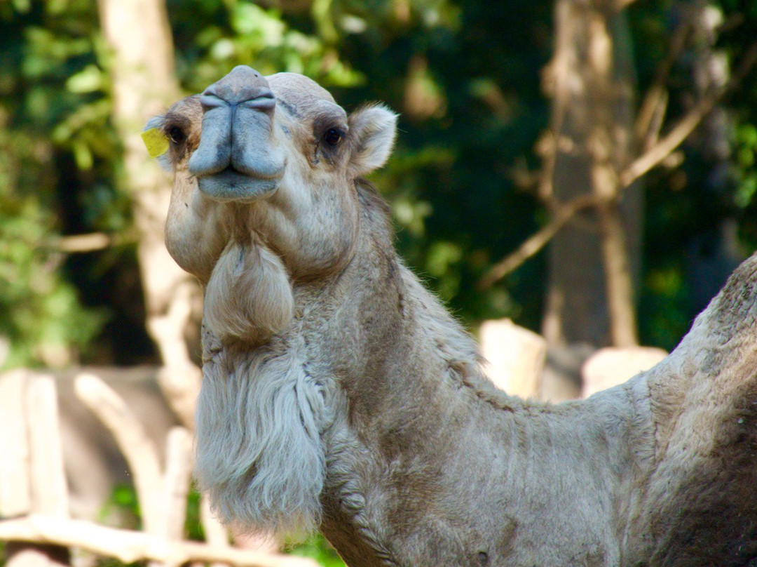 Ecoparc Colima