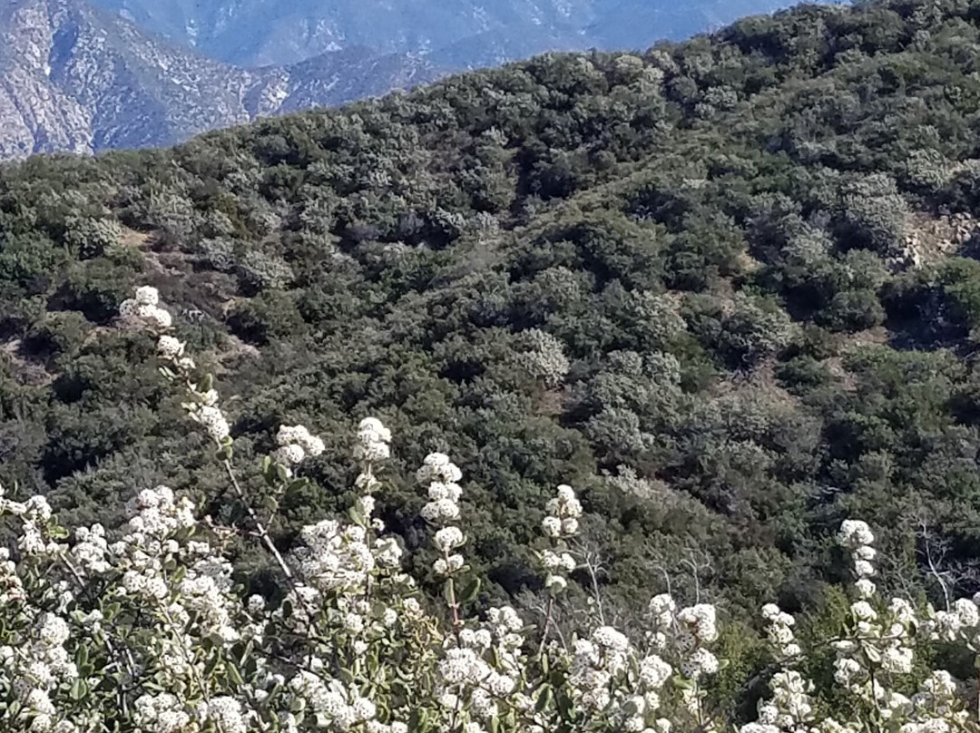 Glendora Mountain Road-Glendora必去景点
