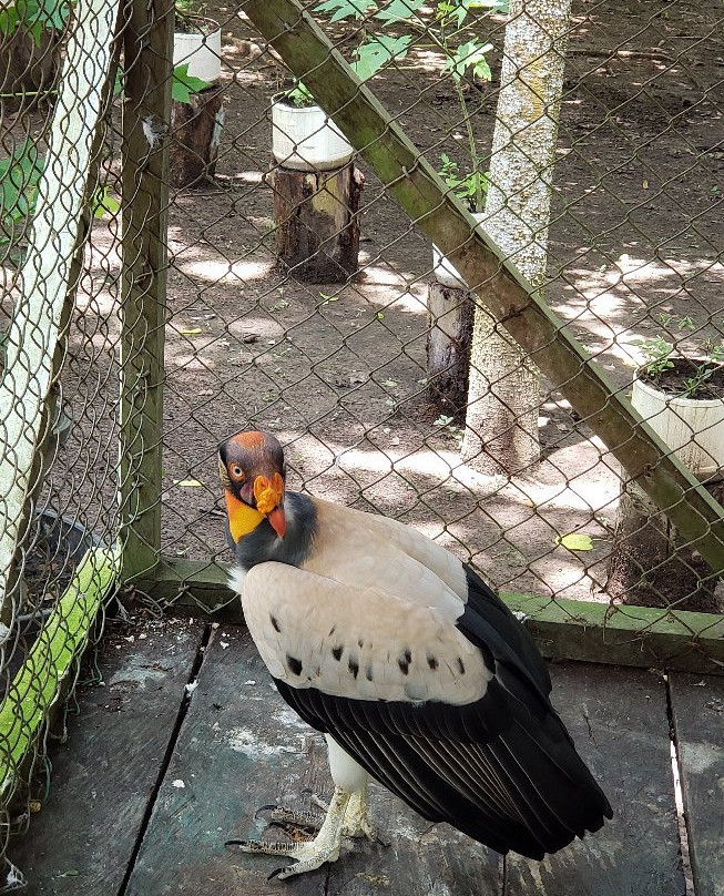 La Jungla Ecolodge-Pucallpa必去景点