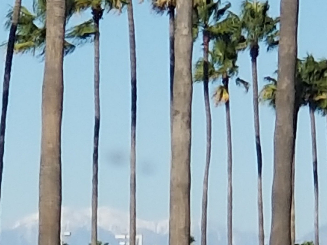 Extended Stay America - Orange County - Lake Forest主图