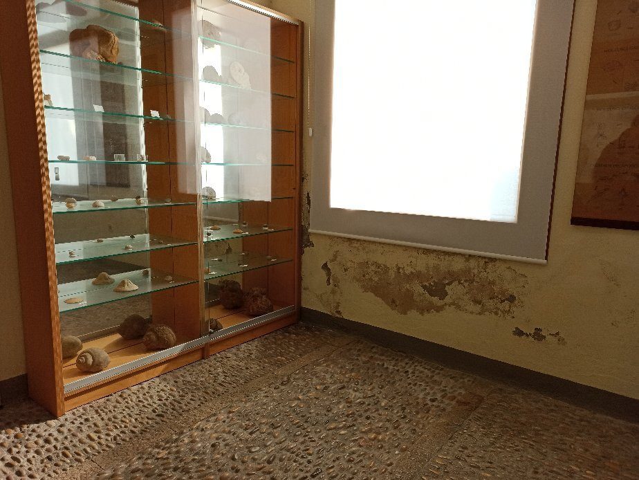 Museo Del Mar景点图片