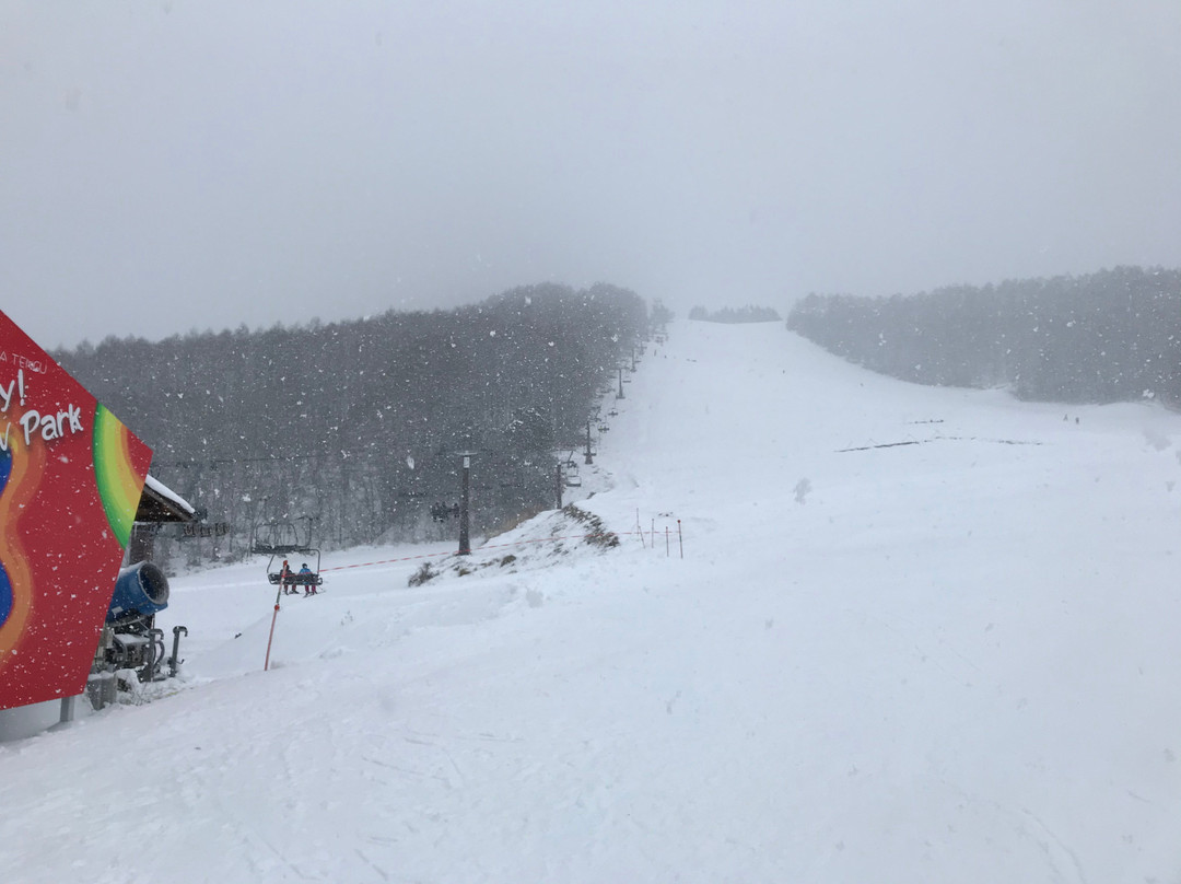 Sugadaira Kogen Ski Area-上田市必去景点