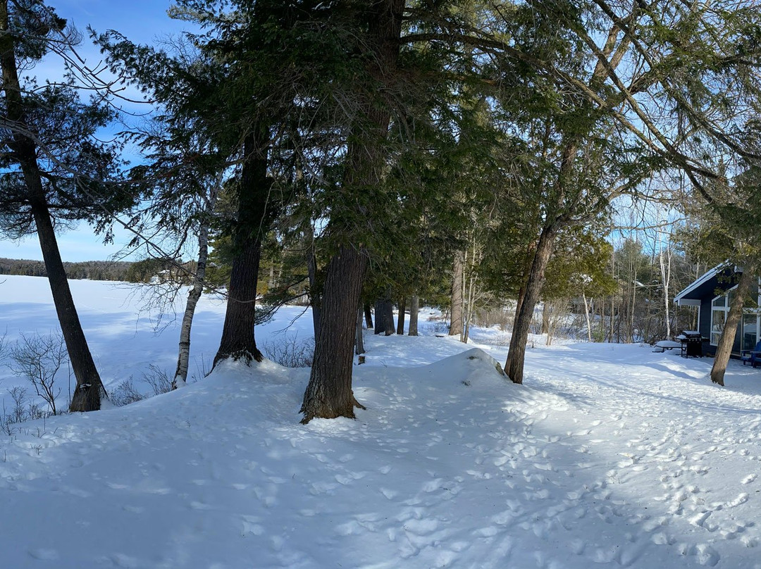 Walker Lake Resort主图